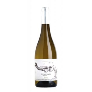 Sotavento Sauvignon